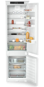 ICNSd 5603-20 0011.jpg