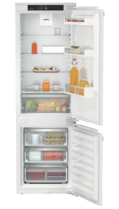 ICf 5103-22 0011.jpg