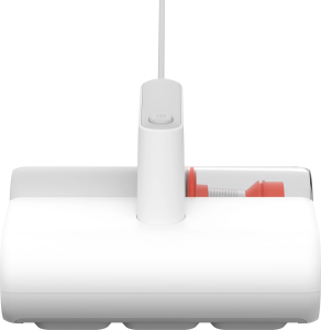 2066489_v01_b 01_03_2025 19_38_27.jpg