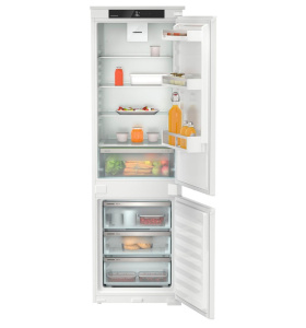 ICNSf 5103-22 0011.jpg