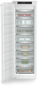 2057767_v01_b 03_03_2025 19_59_38.jpg