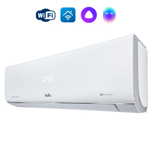 BSAGI-24HN81.jpg