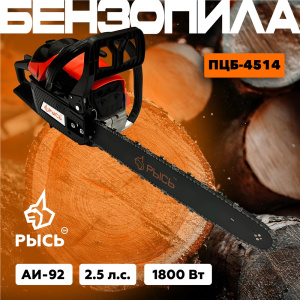 ПЦБ 45141.jpg