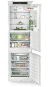 ICBNSd 5123-22 0011.jpg