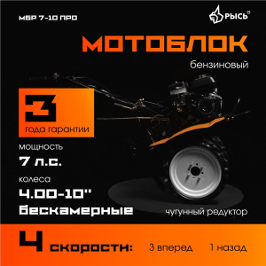 a_max_2500x1000px_viki 19_11_2025 10_14_43.jpg