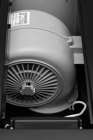 1975507_v06_b 05_02_2024 10_28_09.jpg