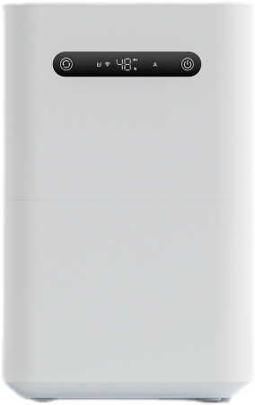 1984105_v03_b 06_11_2024 12_22_03.jpg