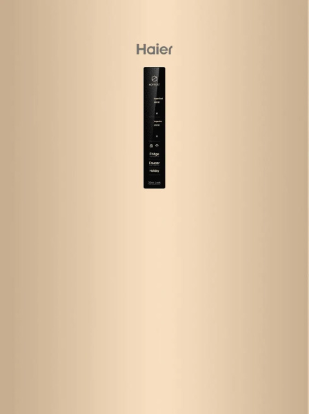 CEF538CGG3.jpg
