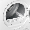 DM 560 W56.jpg