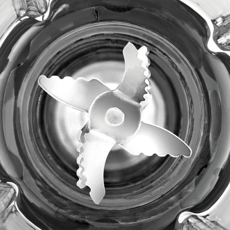 4_561537 14_08_2025 12_08_52.jpg