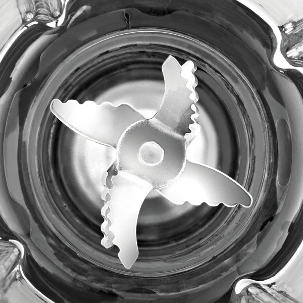 4_561537 14_08_2025 12_08_52.jpg