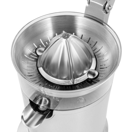 9_749711 14_08_2025 12_31_26.jpg