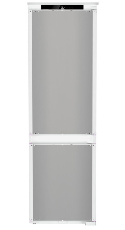 ICBNSd 5123-22 0012.jpg