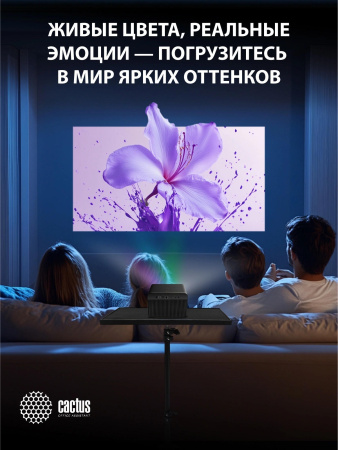 aHR0cHM6Ly9pbWFnZXMubWVybGlvbi5ydS8xOTIvMTkyMjQxMC8xOTIyNDEwX3YxNl9iLndlYnA 26_05_2026 14_24_37.jpg