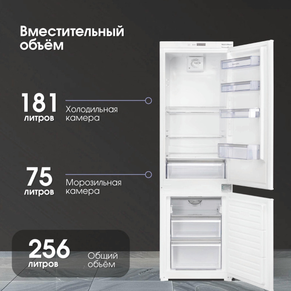 aHR0cHM6Ly9pbWFnZXMubWVybGlvbi5ydS8xMTYvMTE2ODEwMy8xMTY4MTAzX3YwNF9iLndlYnA 20_10_2025 12_27_55.jpg