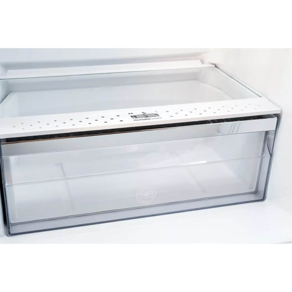 3_766737 31_07_2025 15_36_59.jpg