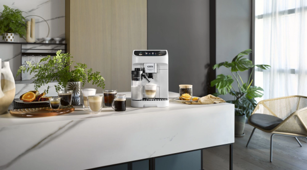 2016365_v04_b 03_03_2025 15_48_12.jpg