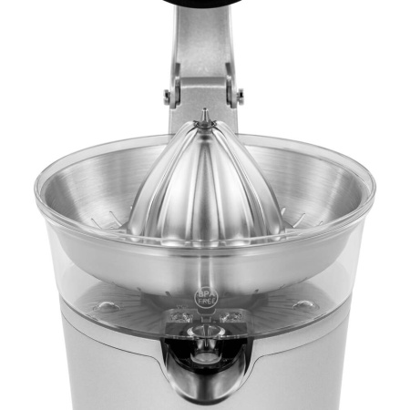 10_749711 14_08_2025 12_31_26.jpg