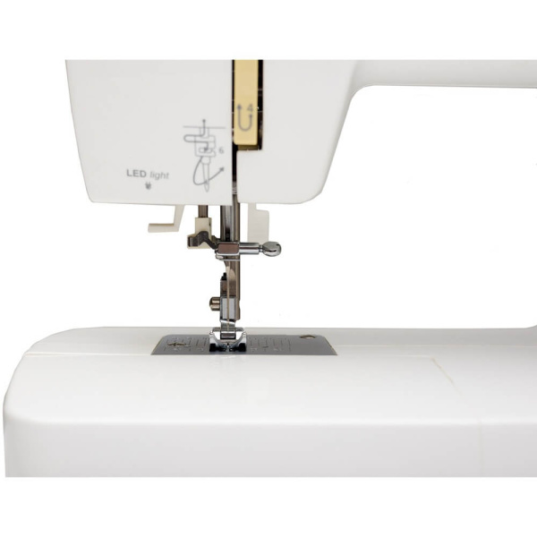 4_733810 14_08_2025 12_21_42.jpg