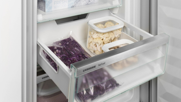 ICNSd 5603-20 0015.jpg