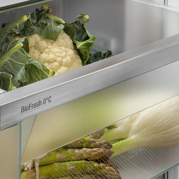 1550814_v03_b 04_02_2024 19_56_31.jpg