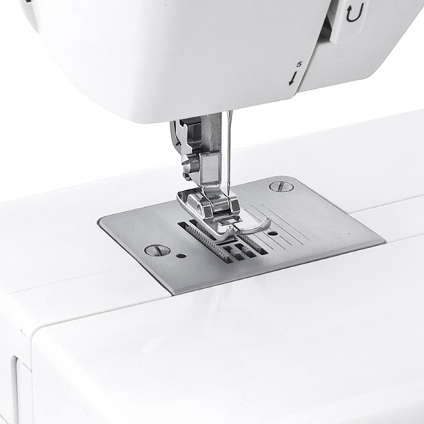 4_523332 14_08_2025 12_22_10.jpg