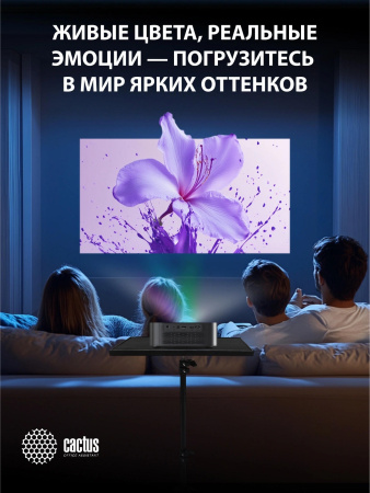aHR0cHM6Ly9pbWFnZXMubWVybGlvbi5ydS8xOTIvMTkyMjQxNy8xOTIyNDE3X3YxMV9iLndlYnA 26_05_2026 14_25_15.jpg