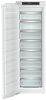 SIFNe 51281.jpg