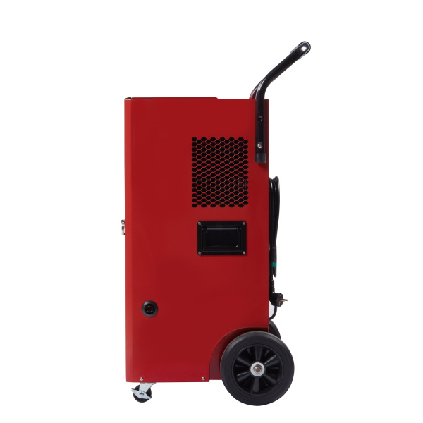 BDI-100L3.jpg